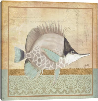 Vintage Fish IV Canvas Art Print - Elizabeth Medley