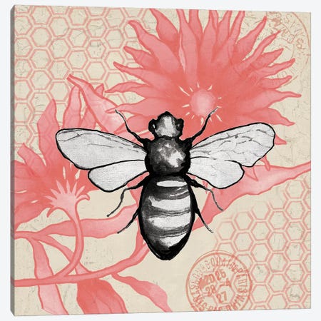 Bee On Pink Flower Square Canvas Print #EME210} by Elizabeth Medley Canvas Artwork