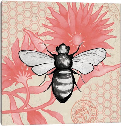 Bee On Pink Flower Square Canvas Art Print - Elizabeth Medley