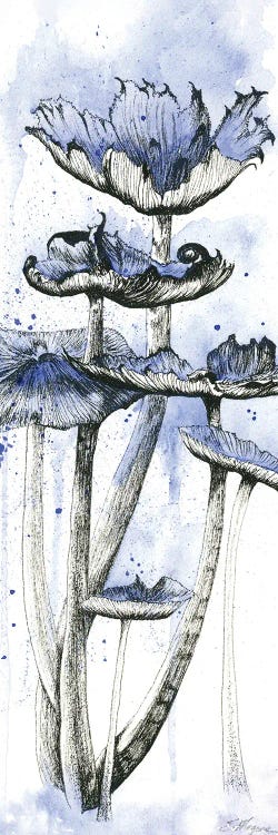 Blue Mushrooms