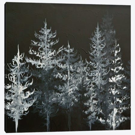Black Trees Canvas Print #EME28} by Emily Magone Canvas Art Print