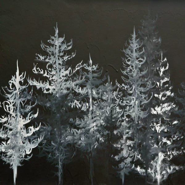 Black & White: Black Trees by Emily Magone