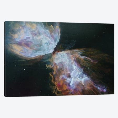Butterfly Nebula Canvas Print #EME30} by Emily Magone Canvas Artwork