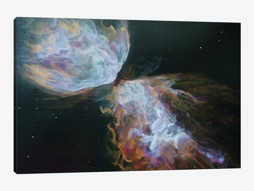 Butterfly Nebula by Emily Magone 1-piece Canvas Wall Art