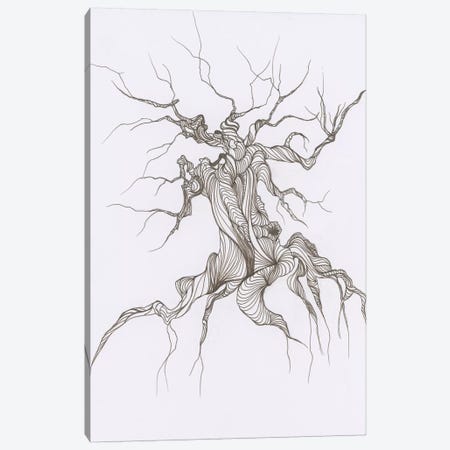 Gnarly Tree Canvas Print #EME37} by Emily Magone Art Print