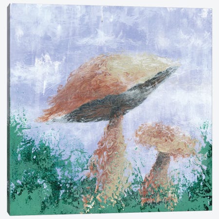 Mushroom Mist Canvas Print #EME40} by Emily Magone Art Print