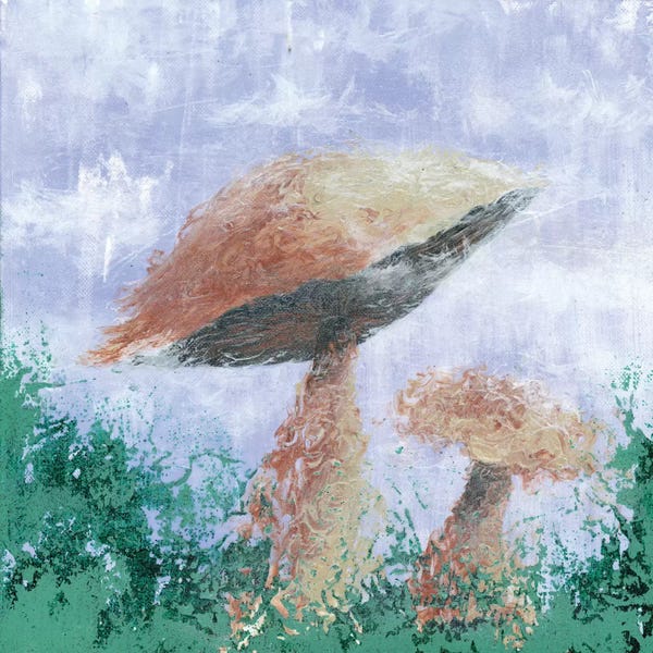 Mushrooms: Mushroom Mist by Emily Magone