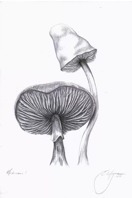 Black White Magic Mushroom Garden Drawing Framed Canvas by ANUTU