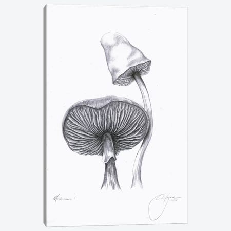 Mushrooms One Canvas Print #EME41} by Emily Magone Canvas Print