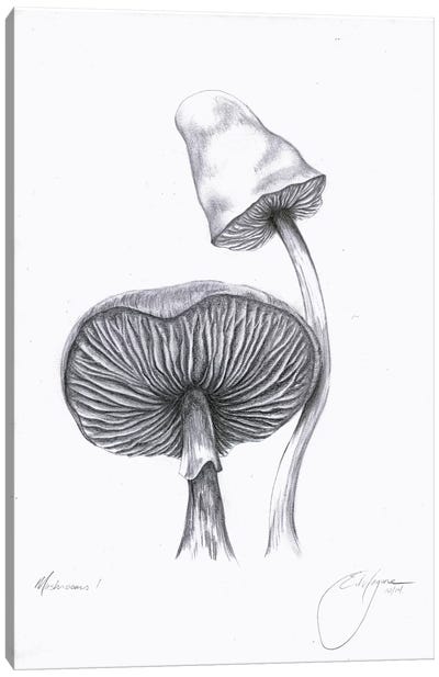 Mushrooms One Canvas Art Print - Pure White