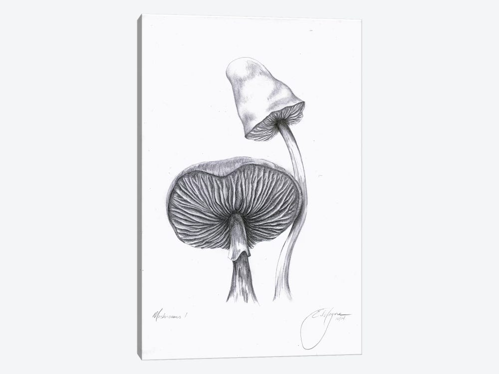 Mushrooms One by Emily Magone 1-piece Canvas Wall Art