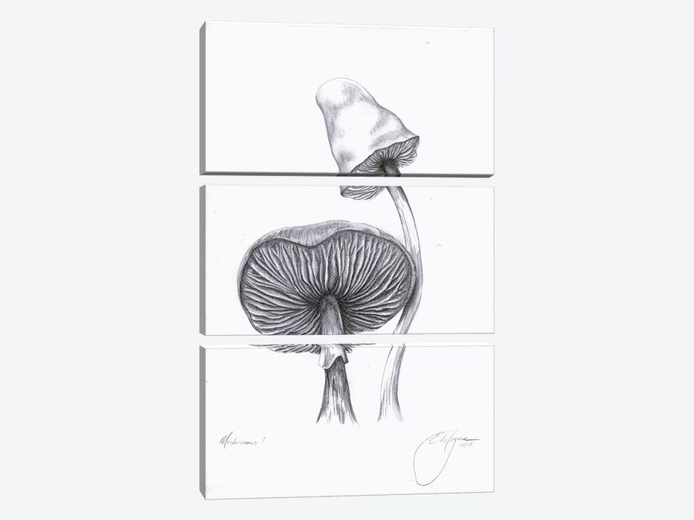 Mushrooms One by Emily Magone 3-piece Canvas Artwork