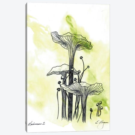 Mushrooms Two Canvas Print #EME42} by Emily Magone Art Print