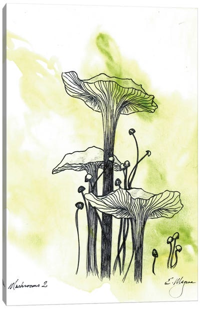 Mushrooms Two Canvas Art Print - Mushroom Art
