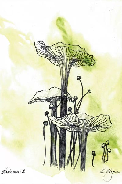 Mushrooms: Mushrooms Two by Emily Magone