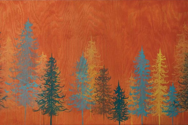 Pine Trees: Orange Trees by Emily Magone
