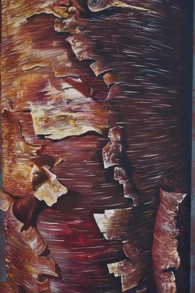 Peel by Emily Magone framed wall art