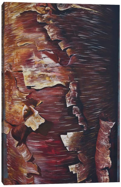 Peel Canvas Art Print - Tree Close-Up Art