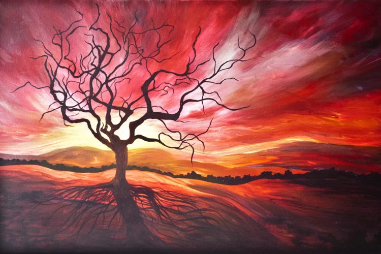 Sunrise by Emily Magone wall art