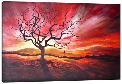 Sunrise Canvas Art Print - Emily Magone