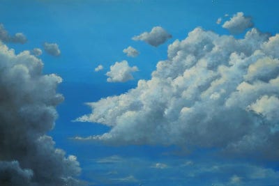 Flight by Emily Magone canvas print