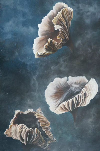 Possibility by Emily Magone canvas print