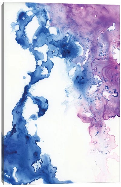 Lapis Lazuli And Amethyst Canvas Art Print - Emily Magone
