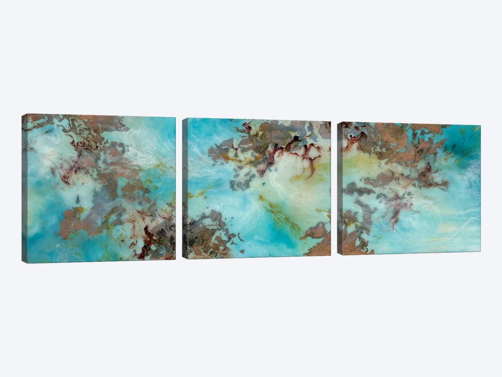 Burst by Emily Magone 3-piece Canvas Wall Art