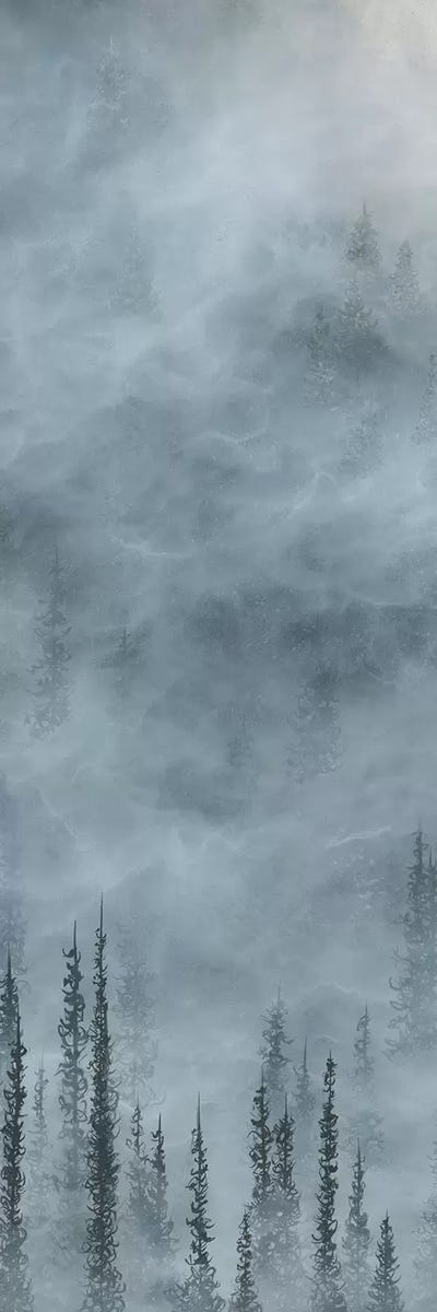 Clarity by Emily Magone canvas print