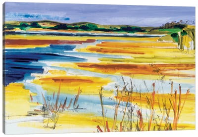 Bright Marsh I Canvas Art Print