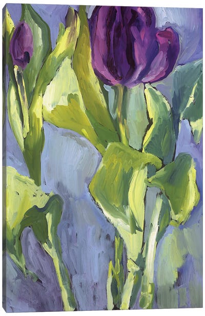 Violet Spring Flowers II Canvas Art Print