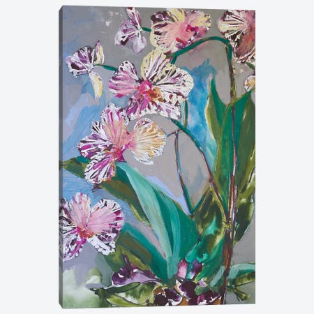 Maine Spring Flowers I Canvas Print #EMF65} by Erin McGee Ferrell Canvas Art Print