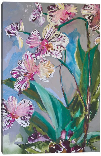 Maine Spring Flowers I Canvas Art Print