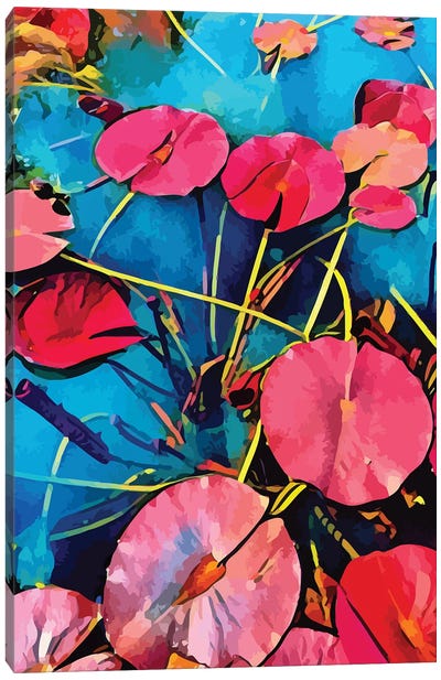 Pop Nenuphars In Bloom Canvas Art Print - Lily Art