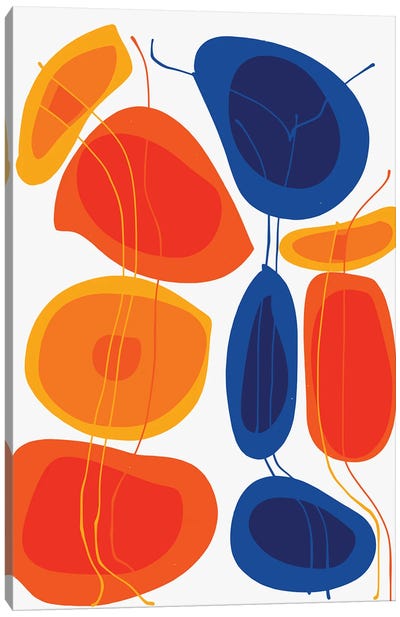 Orange And Blue Flowers Canvas Art Print