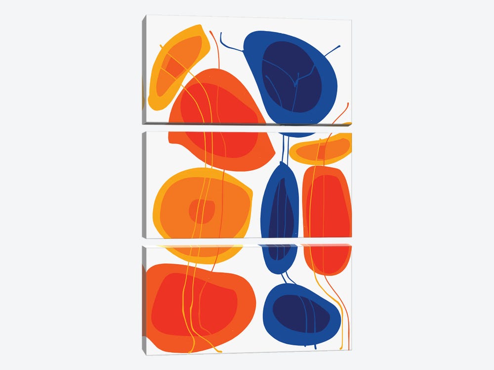 Orange And Blue Flowers by Emmanuel Signorino 3-piece Canvas Art Print