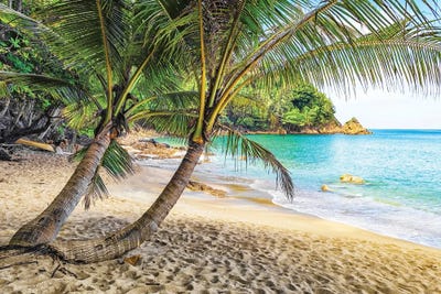 Banana Beach by Manjik Pictures art print