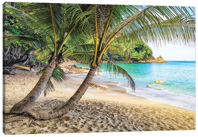 Banana Beach Canvas Art Print - Manjik Pictures