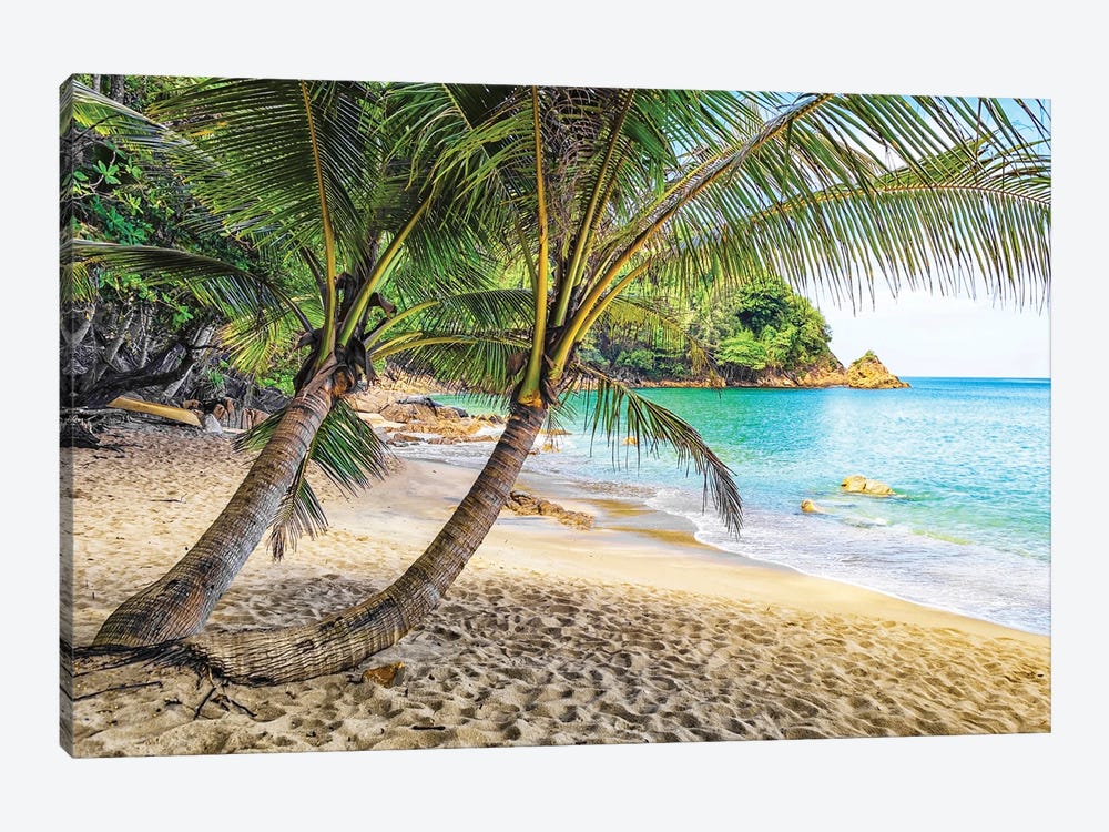 Banana Beach by Manjik Pictures 1-piece Canvas Art Print