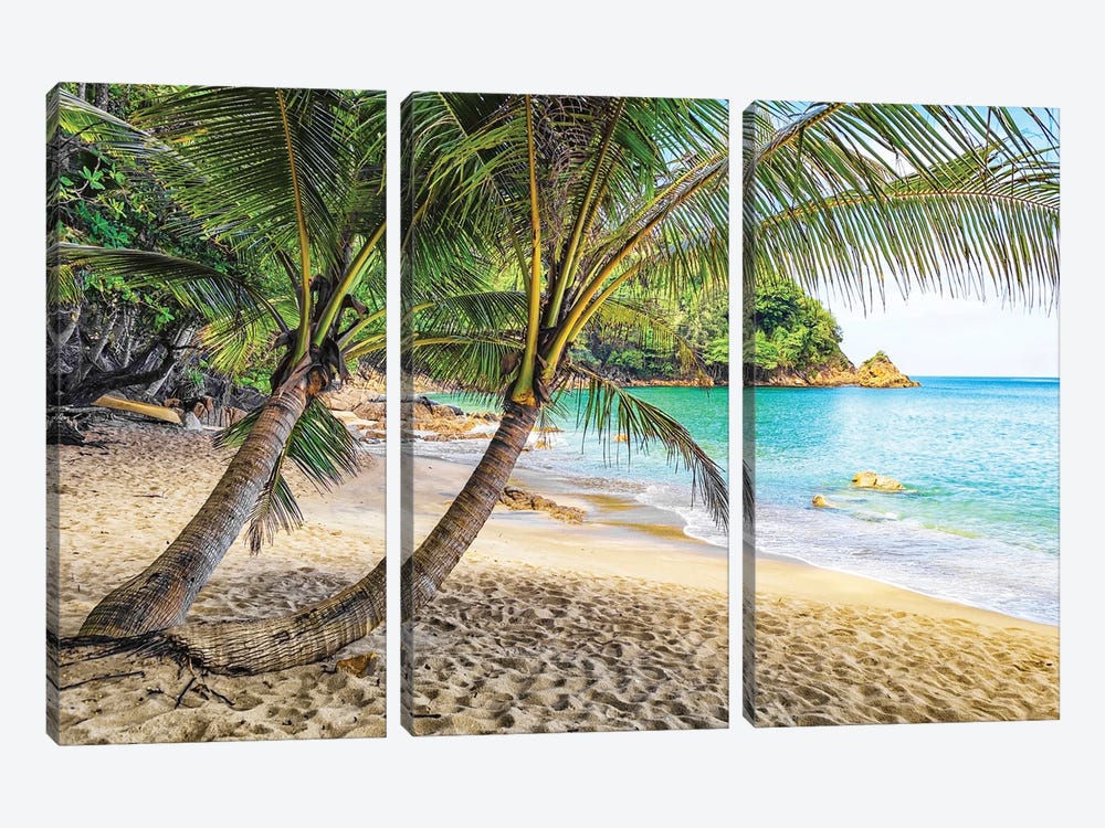 Banana Beach by Manjik Pictures 3-piece Canvas Print
