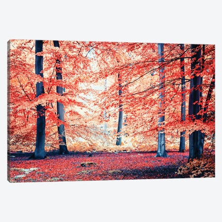 Autumn In The Park Canvas Artwork by Manjik Pictures | iCanvas