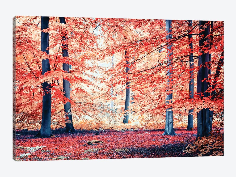 Autumn Vibes by Manjik Pictures 1-piece Canvas Print