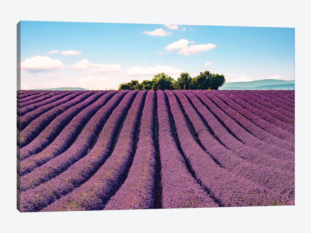 South Of France by Manjik Pictures 1-piece Canvas Wall Art