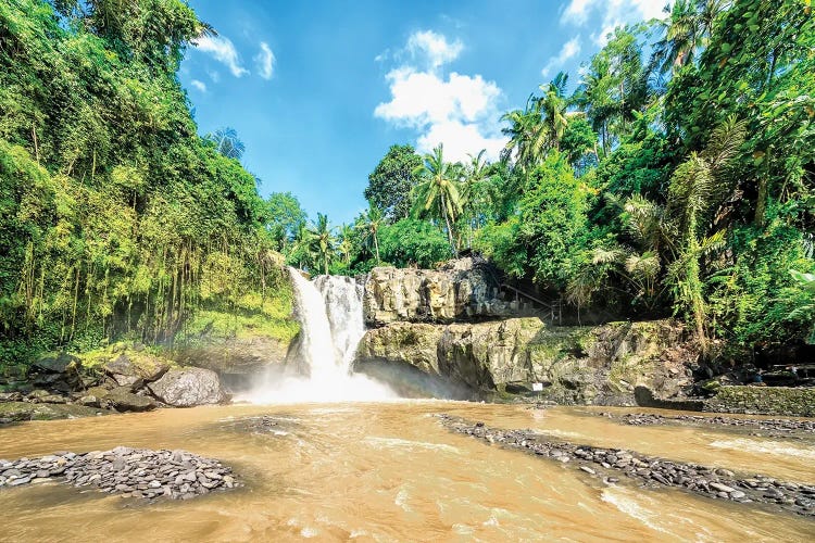 Tropical Landscape by Manjik Pictures wall art
