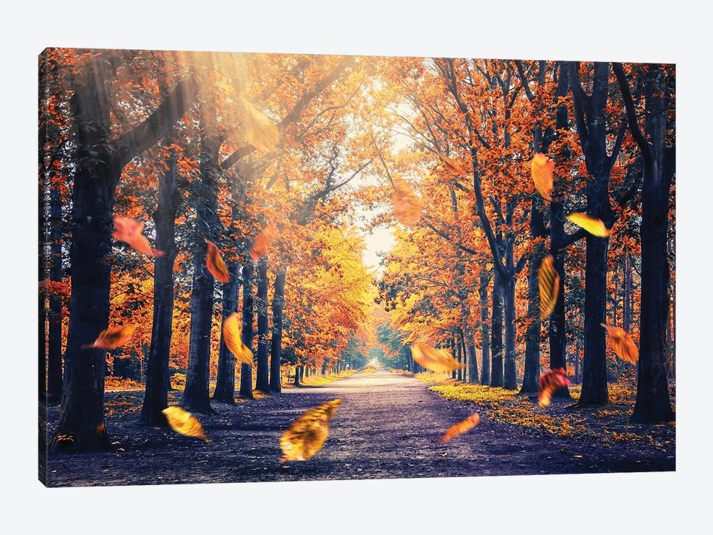 Autumn Vibe by Manjik Pictures 1-piece Canvas Art Print