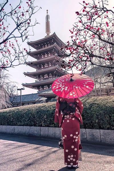 Pagodas: Lady In Red by Manjik Pictures