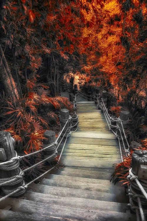 Path In Autumn by Manjik Pictures wall art