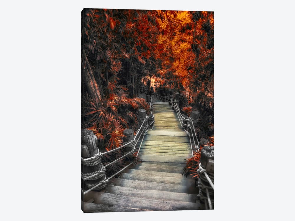Path In Autumn by Manjik Pictures 1-piece Canvas Art