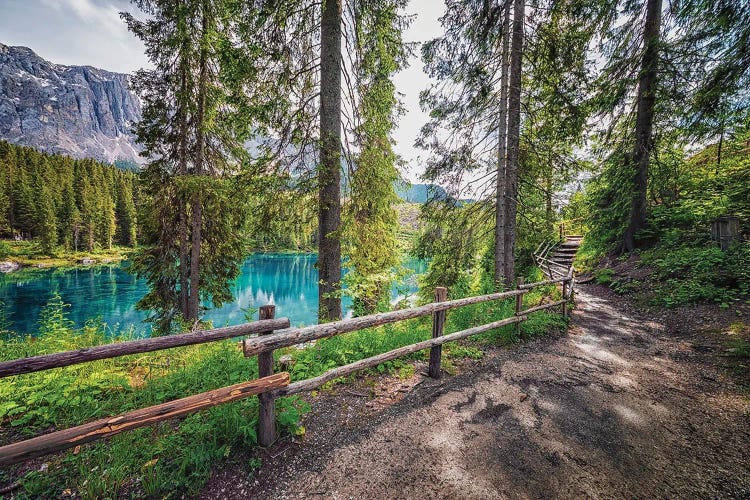 Sunlight On The Lake by Manjik Pictures wall art