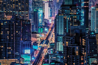 Metropolitan Jungle by Manjik Pictures canvas print